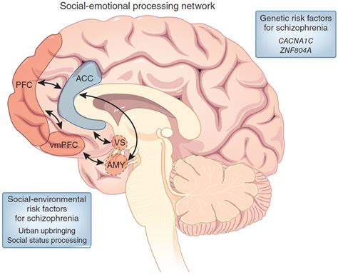 Impairment In Emotion Regulation In Schizophrenia Patients Emotion