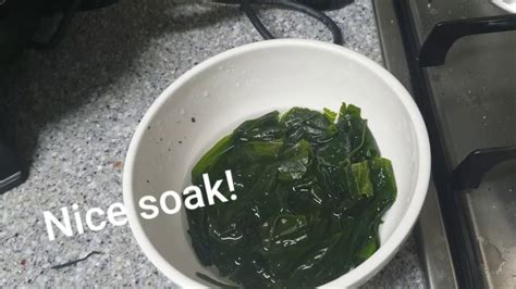 Seaweed Soup Youtube