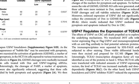 Correlation Between Usp Levels In Crc Patients And Their