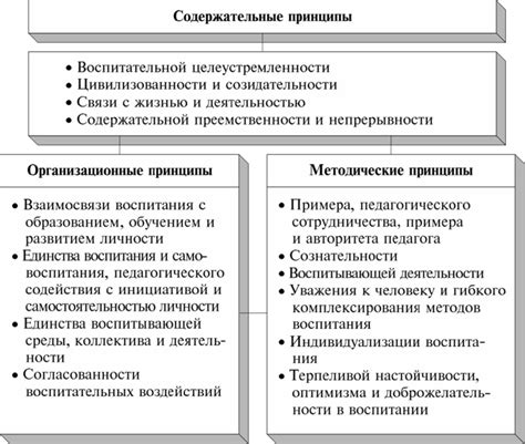 Педагогические принципы воспитания - Психология и педагогика