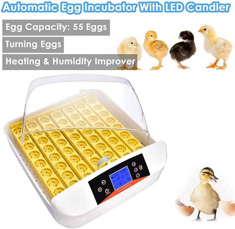 Yz S Hhd Egg Incubator Fully Automatic Eggs Mini Incubator