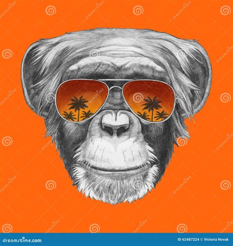 Hand Drawn Portrait Of Monkey With Mirror Sunglasses Stock Vector