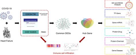 Frontiers Bioinformatics And Systems Biology Approaches To Identify