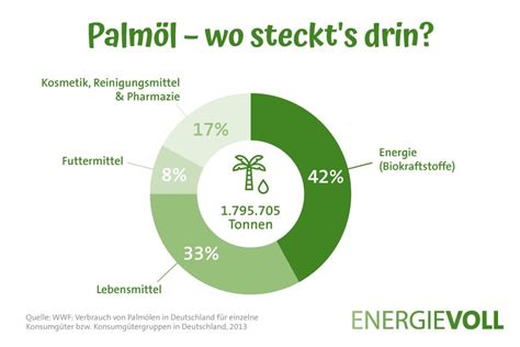 Palmöl Kritik Problem und Lösung