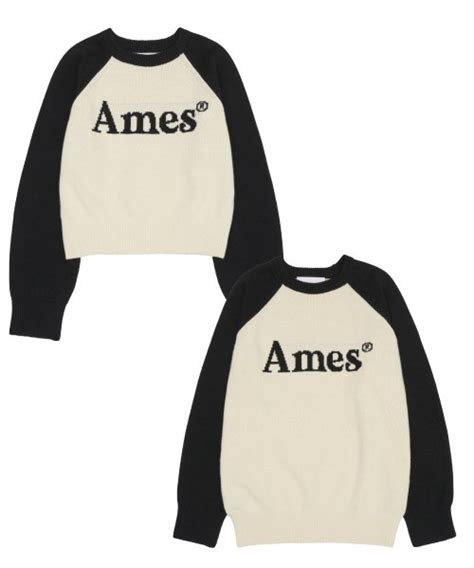 MUSINSA AMES WORLDWIDE BASIC RAGLAN PULLOVER KNIT IVORY