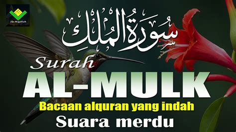 Bacaan Alqur An Paling Merdu Di Dunia Surah Al Mulk