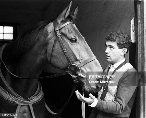 66 Arkle Racehorse Stock Photos, High-Res Pictures, and Images - Getty ...