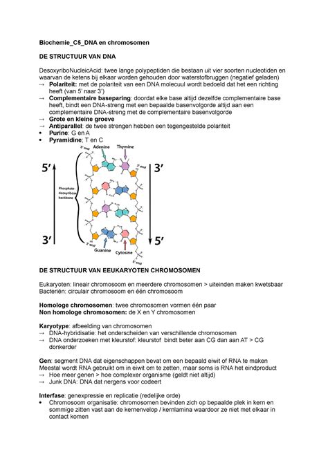 Biochemie C5 H5 Samenvatting Biochemie C5 DNA En Chromosomen DE