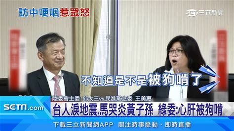 台人淚花蓮地震、馬英九哭炎黃子孫 綠委：心肝被狗啃 政治 三立新聞網 Setn