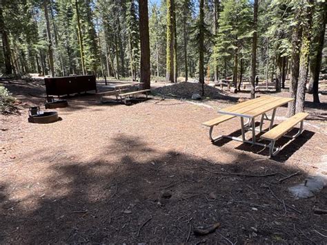 Site 536 Double Crane Flat Campground