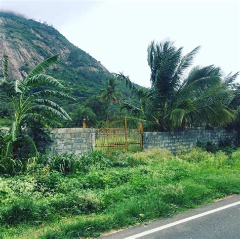 Agricultural Land Guntha For Sale In Nandi Hills Chikballapur