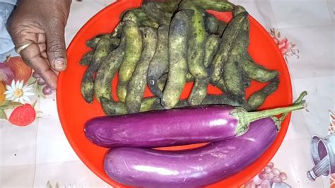 केवाँच और बैगन एक साथ बनाने का न्यू तरीका Kaunch Ki Sabji। Brinjal Ki