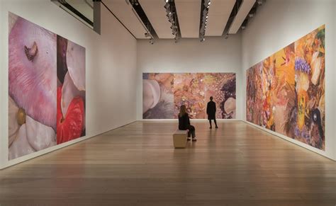 Michelle Bui Naked Excess Esker Foundation Contemporary Art Gallery Calgary