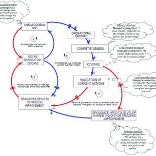 Shifting The Burden Causal Loop Diagram With Two Reinforcing Loops