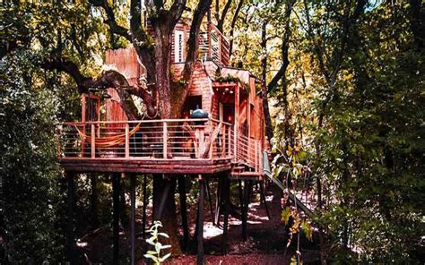 rumah pohon – Update Terus