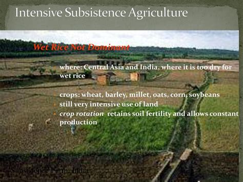 Intensive Subsistence Agriculture Wet Rice Dominant