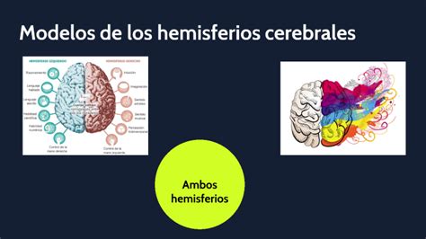 Modelo De Los Hemisferios Cerebrales By Rocio Sanchez On Prezi