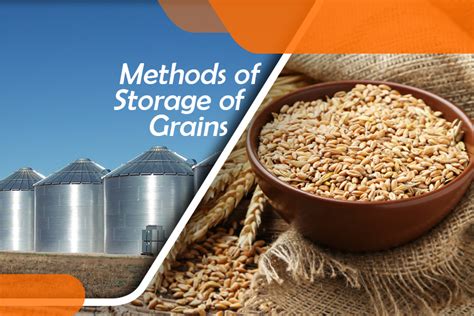 Methods Of Grains Storage