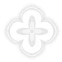 Never Forget Again | Honkai: Star Rail Wiki | Fandom