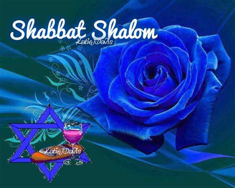 Shabbat Shalom Blue Rose Beautiful Roses Blue Roses