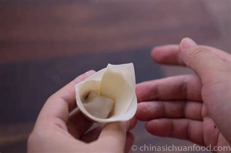 How To Wrap Wontons Wonton How To Fold