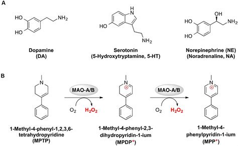 A Comprehensive Review Of Monoamine Oxidase Inhibitors As 58 Off