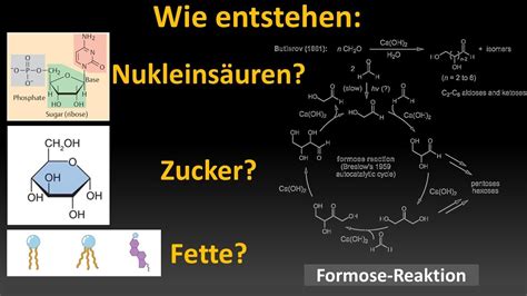 Entstehung Von Nukleins Uren Zuckern Fetten Vorlesung Entstehung Des