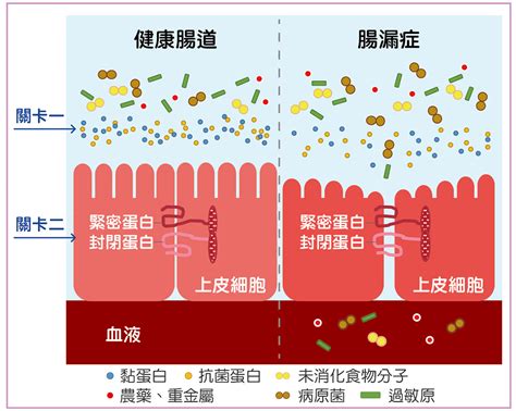 健康專欄