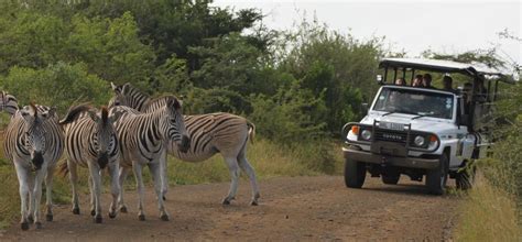 Hluhluwe Umfolozi Game Reserve St Lucia South Africa