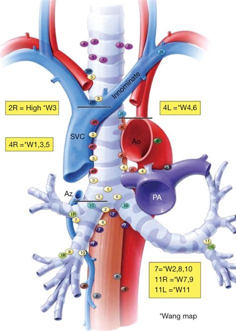 Insight Into The Differences In Classification Of Mediastinal And Hilar