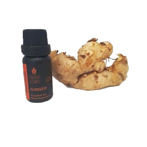 Pacific Scents Ginger Essential Oil 10ml Buynatural Marketplace