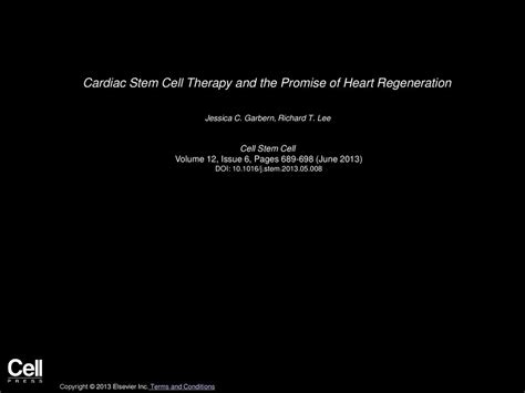 Cardiac Stem Cell Therapy And The Promise Of Heart Regeneration Ppt