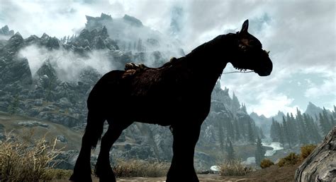 Horse Skyrim The Elder Scrolls Wiki