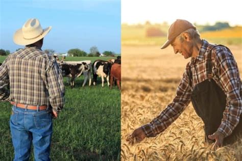 Ranch Vs Farm Whats The Difference Texini