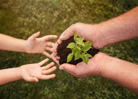 Conciencia Ecológica Qué Es Y Su Importancia Resumen