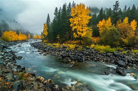 Lake Wenatchee Fall Colors In Washington 2024 Rove Me