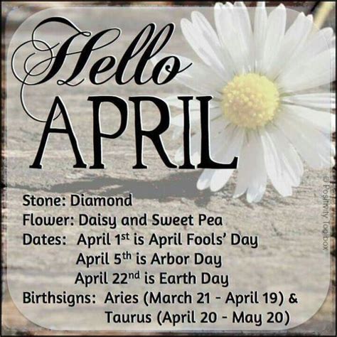 Daisy Hello April Quote Pictures Photos And Images For Facebook