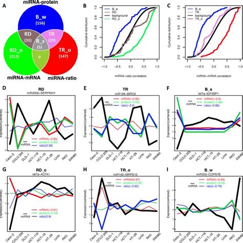 Categorization Of Mirna Target Interactions A Defining Mirna Target