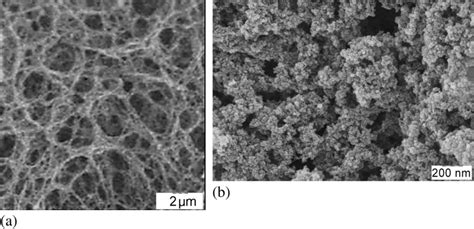 SEM Images Of Aerogel Prepared At Sol Concentration Of 2 Mg Ml At