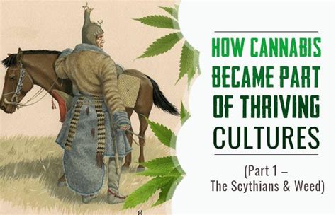 How Cannabis Became Part Of Thriving Cultures The Scythians And Weed