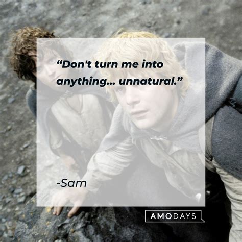 44 ‘Lord of the Rings’ Sam Quotes about Friendship, Loyalty and More