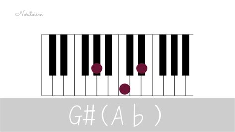 なんでも 瞑想的 グローバル ピアノ 基本 論文 小石 パーティション