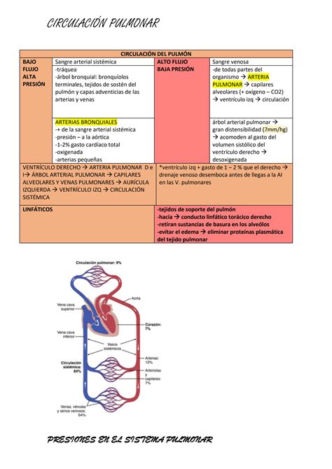 Solution Resumen De Fisiolog A Seg N Guyton Circulacion Pulmonar Edema