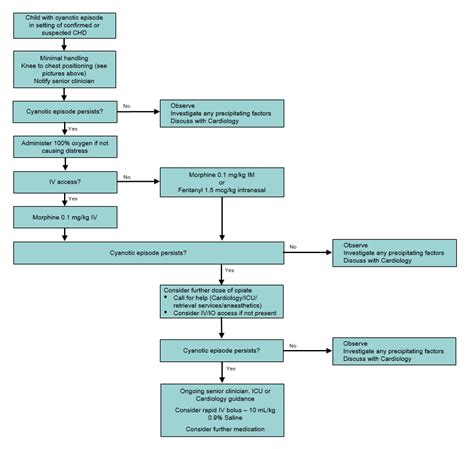 Clinical Practice Guidelines Cyanotic Episodes In Congenital Heart