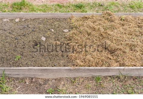 Bed Before After Mulch Coverage Reuse Stock Photo 1969085551 Shutterstock