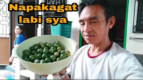 Ang Pag Ani Ng Kalamansikalamansi Ofw Teamsako Youtube