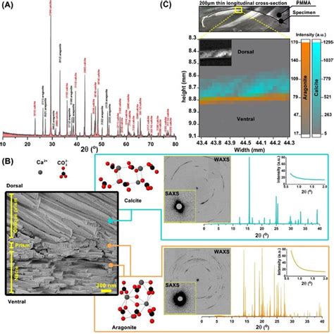 A XRD Of The Bulk Shell Powder B Representative 2D Synchrotron