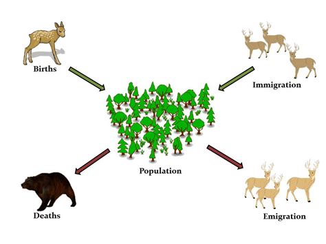 Biological Population