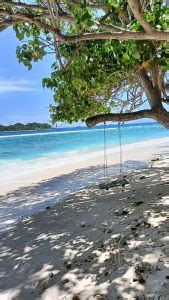 Rasdhoo Island Maldives Beach Bum Adventure