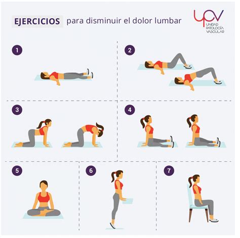 Ejercicios Para Aliviar El Dolor Y La Rigidez Lumbar Nbkomputer